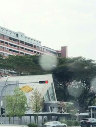 Suites @ Bukit Timah (D21), Shop House #466744051